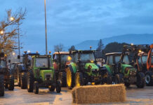 И днес е спряно движението на камиони през ГКПП Кулата и Илинден