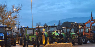 И днес е спряно движението на камиони през ГКПП Кулата и Илинден