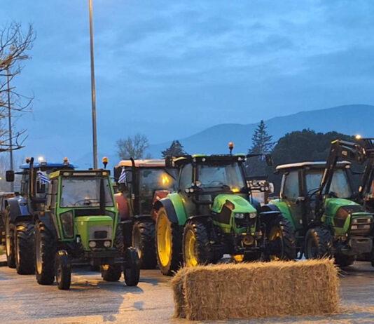 И днес е спряно движението на камиони през ГКПП Кулата и Илинден