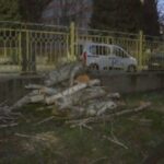 След силния вятър в Стара Загора: паднали дървета и щети по жилища и автомобили