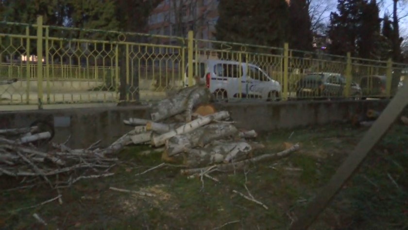 Силният вятър причини материални щети в Стара Загора и доведе