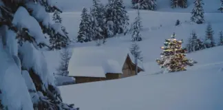 Идва истинска зима за Коледа и Нова година