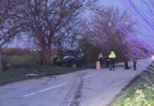 Момиче издъхна, други трима младежи са ранени при катастрофа край Русе