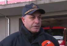 Дърво падна върху колата на чешко семейство в прохода Предела