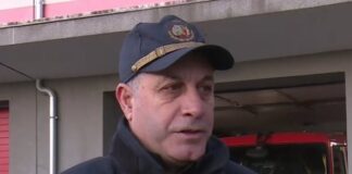 Дърво падна върху колата на чешко семейство в прохода Предела