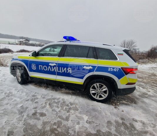 Заради снега десетски населени места останаха без ток