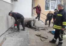 В Бургас спасиха коте, зазидано под блок по време на строителни дейности (ВИДЕО)