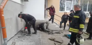 В Бургас спасиха коте, зазидано под блок по време на строителни дейности (ВИДЕО)