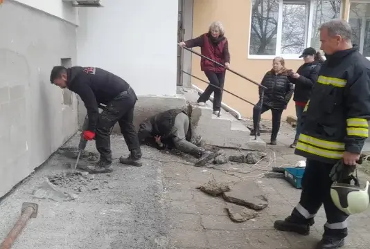 В Бургас спасиха коте, зазидано под блок по време на строителни дейности (ВИДЕО)