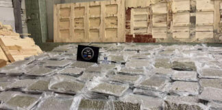 Заловиха близо 700 кг марихуана в тир на ГКПП Лесово