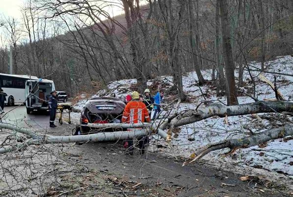 Диана Русинова пътен експерт фейсбукДиана Русинова Снимка фейсбукДве години управление