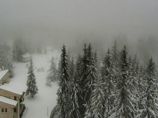 Минус 14,6 градуса измериха тази сутрин в района на Рожен