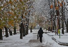 Поледиците в София пратиха 140 души в „Пирогов”