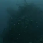 На около 40 м е потънал риболовният кораб край Маслен нос