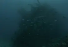 На около 40 м е потънал риболовният кораб край Маслен нос