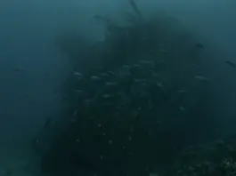 На около 40 м е потънал риболовният кораб край Маслен нос