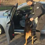 Гонка със 160 км/ч и шипове на пътя: полицията в Сливен спря системен нарушител след зрелищна акция