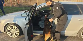 Гонка със 160 км/ч и шипове на пътя: полицията в Сливен спря системен нарушител след зрелищна акция