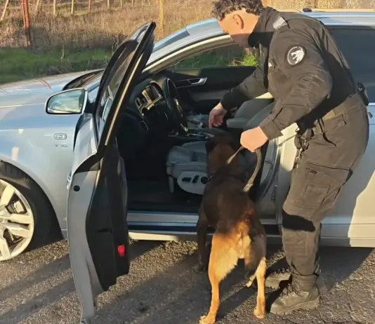 Гонка със 160 км/ч и шипове на пътя: полицията в Сливен спря системен нарушител след зрелищна акция