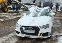 Паднало дърво изпочупи пет автомобила в Пловдив