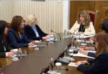 „ДПС-Ново начало” при президентката: Служебният премиер трябва да има доказан административен опит и да познава структурите на държавата