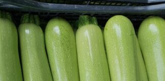 Владимир Иванов: Пиперът и тиквичките са поскъпнали със 100% от началото на годината