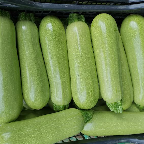 Процесът по въвеждане на еврото върви много добре Към 16