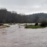 Човек загина, а друг е в неизвестност, след като бурята „Леонардо“ удари Испания и Португалия
