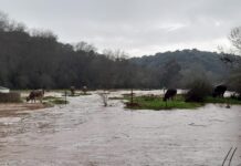 Човек загина, а друг е в неизвестност, след като бурята „Леонардо“ удари Испания и Португалия