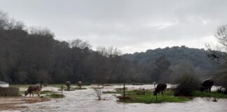 Човек загина, а друг е в неизвестност, след като бурята „Леонардо“ удари Испания и Португалия