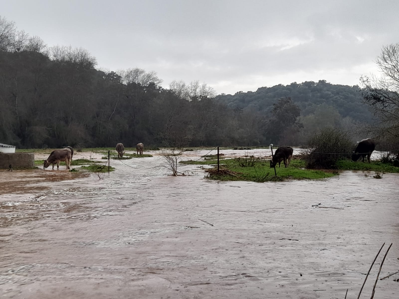 Бурята Леонардо която връхлетя Иберийския полуостров донесе необичайно проливни валежи
