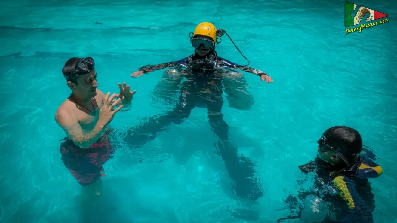 BIRD публикува интервю с бивш ученик на Ивайло Калушев който свидетелства