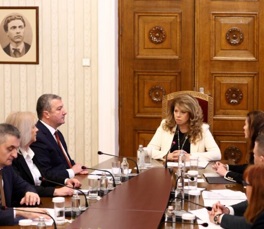 „БСП-Обединена левица“ към Йотова: ПП/ДБ бяха най-големите радетели за абсурдните конституционни промени