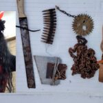 Царицата и приятелят й снимали клипове с мъчения на животни от 2013 г., използвали гилотини, бесилки и мелачки (снимки 18+)