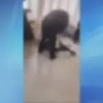 Шокиращ случай на агресия в училище: Охранител удря седмокласник