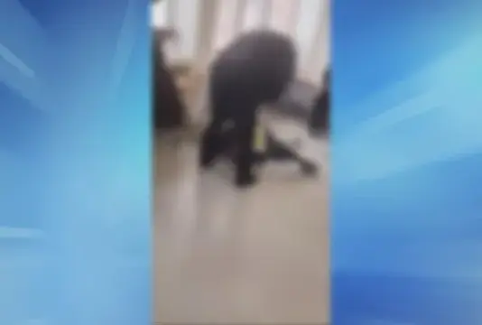 Шокиращ случай на агресия в училище: Охранител удря седмокласник