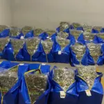 ГДБОП и ДАНС заловиха над 240 кг наркотици в София