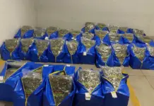 ГДБОП и ДАНС заловиха над 240 кг наркотици в София