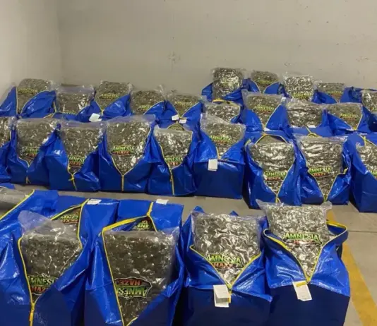 ГДБОП и ДАНС заловиха над 240 кг наркотици в София