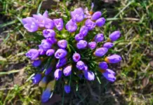 Слънчево и топло остава през следващите дни