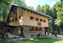 Скандал в хижа „Камен дел” завърши с изстрели