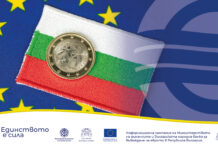 Какво предстои в институционалния мониторинг