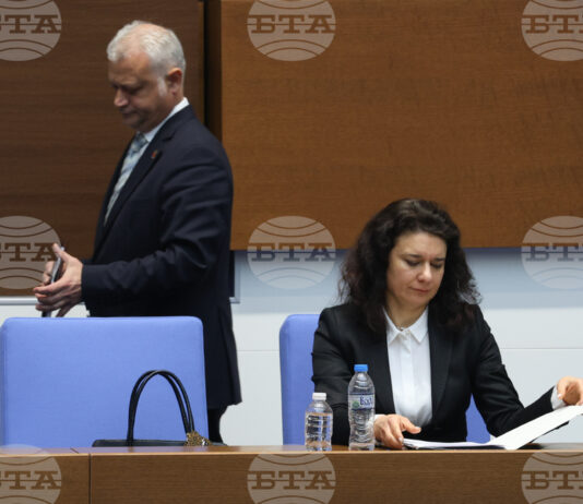 Шефката на НИКК опроверга министър Дечев: Директорът на института по криминалистика участва в изготвянето на експертизи